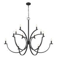 12 Light Chandelier by Z-Lite - Cordelia Collection, Matte Black Finish - 2016-12MB