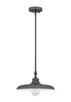 One Light Pendant by Z-Lite - Camden Collection, Modern Bronze Finish - 2308P14-MBZ
