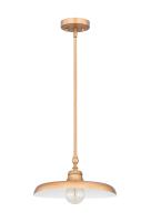 One Light Pendant by Z-Lite - Camden Collection, Rubbed Brass Finish - 2308P14-RB