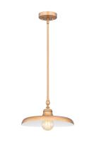One Light Pendant by Z-Lite - Camden Collection, Rubbed Brass Finish - 2308P14-RB