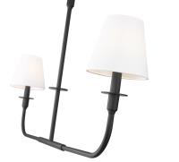 Two Light Linear Chandelier by Z-Lite - Tova Collection, Matte Black Finish - 3049-42L-MB