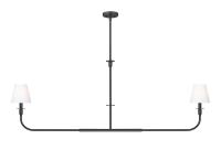 Two Light Linear Chandelier by Z-Lite - Tova Collection, Matte Black Finish - 3049-60L-MB