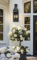 Four Light Outdoor Wall Mount by Z-Lite - Toulouse Collection, Sand Black Finish - 5030XL-BK
