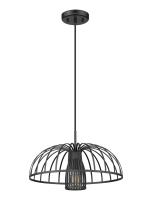 One Light Pendant by Z-Lite - Valencia Collection, Matte Black Finish - 623P16-MB