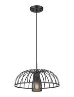 One Light Pendant by Z-Lite - Valencia Collection, Matte Black Finish - 623P16-MB