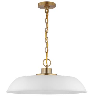 Nuvo Lighting Colony One Light Pendant