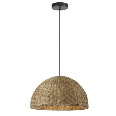 Dainolite 1LT Incandescent Pendant, Natural