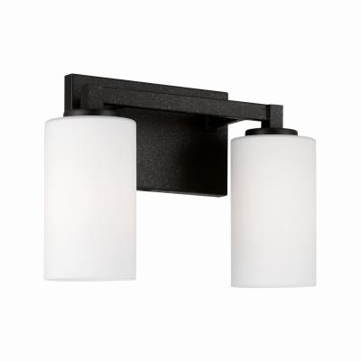 Two Light Vanity - Black Iron