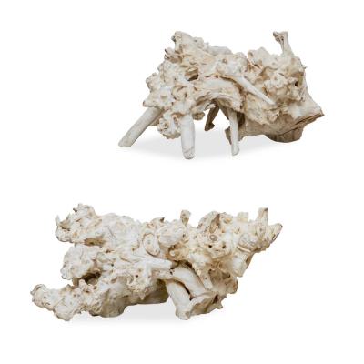 天然石　フローライトヒトデ　カービング　台座付き⭐️2845 Home Accents - Statues/Sculptures | Passion Lighting