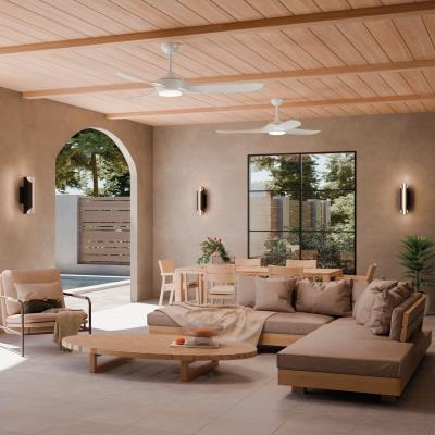 bbanghuang✨ Ceiling Fan Kit, Haiku, 52