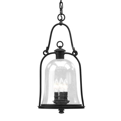 Troy Lighting F9467 Owings Mill 3 Light Outdoor Pendant with Seedy Glass - Natural Bronze