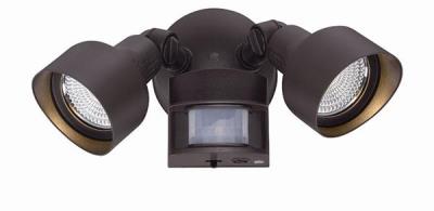 LED Floodlight - Architectural Bronze