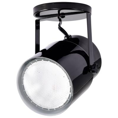 One Light Plant Lamp