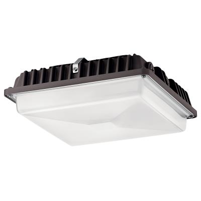 Elektra Lights Elektra Lights