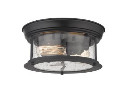 Two Light Flush Mount - Matte Black