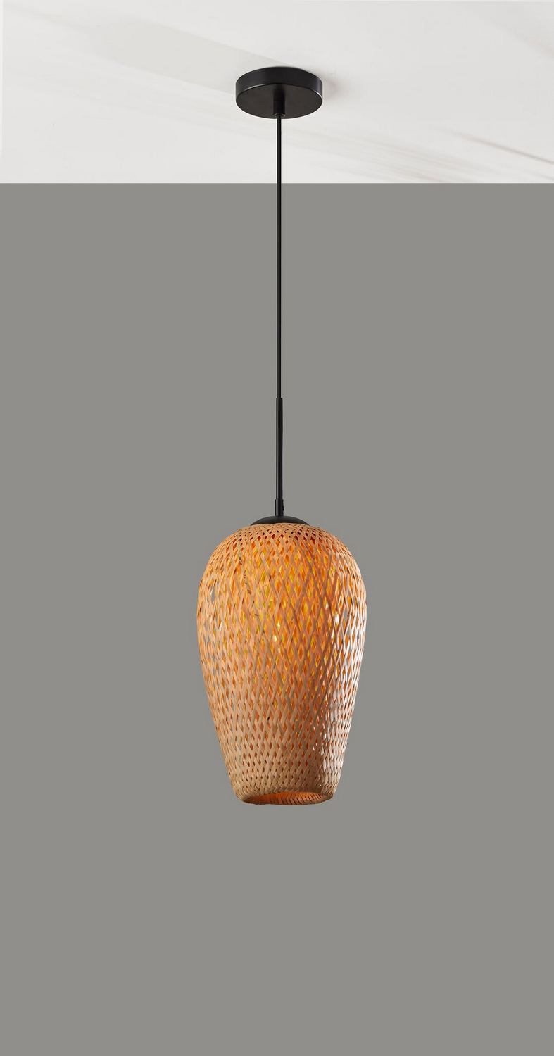 Adesso 2137-12 Hugo 1 Light Black Pendant Ceiling Light