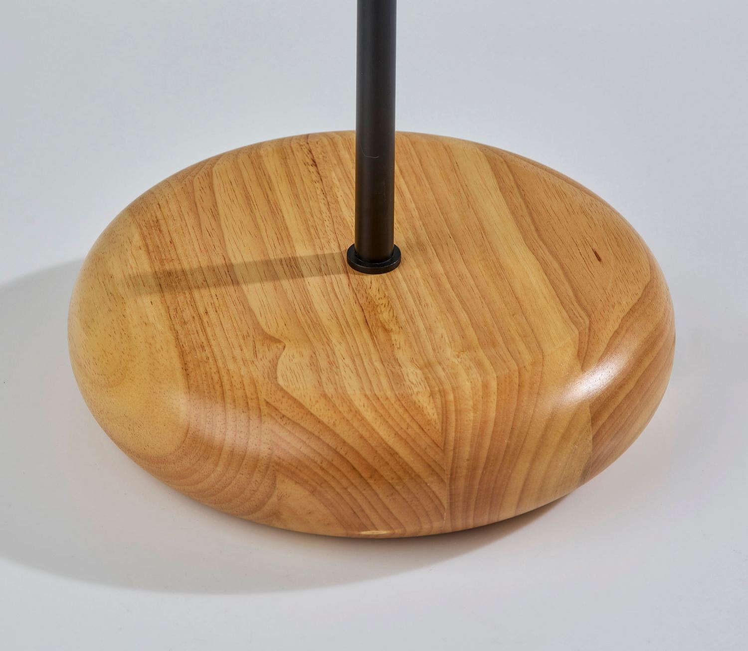 Black Floor Lamp from the Brielle Collection