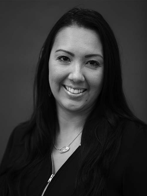 meettheteam Lights Fantastic Pro